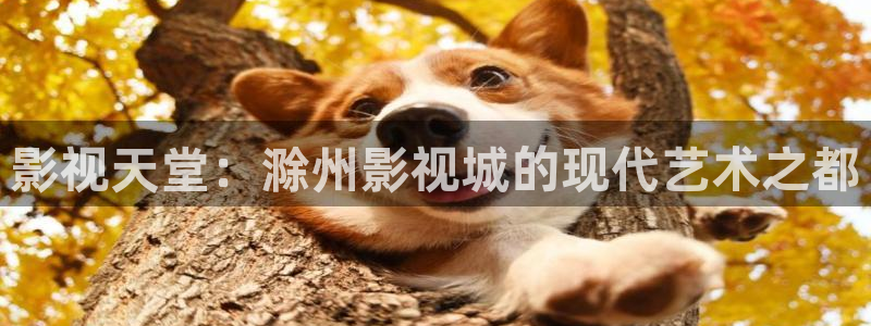 超碰91av在线