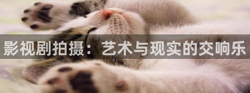 人人人超碰人人人