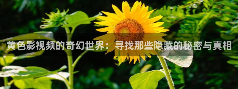 超碰logo