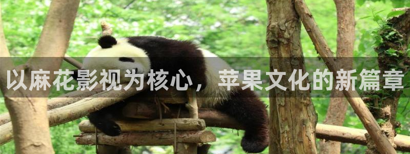 91超碰在线视