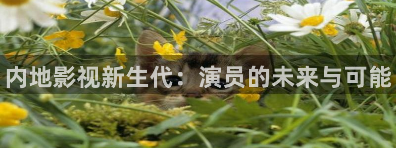 超碰在线视频最新