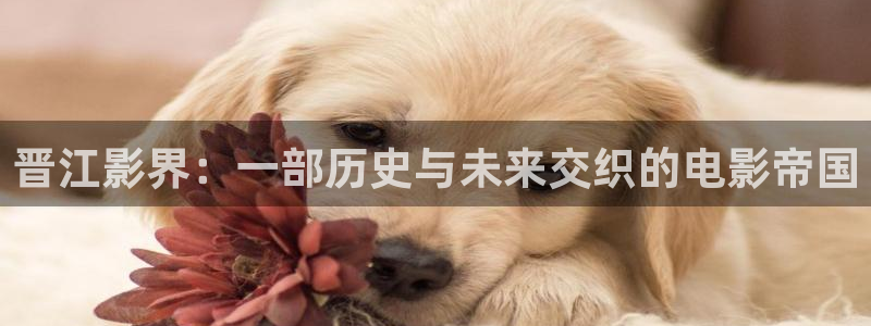 超碰少妇免费
